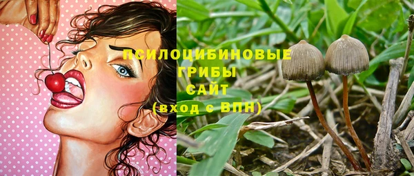 СК Инсар