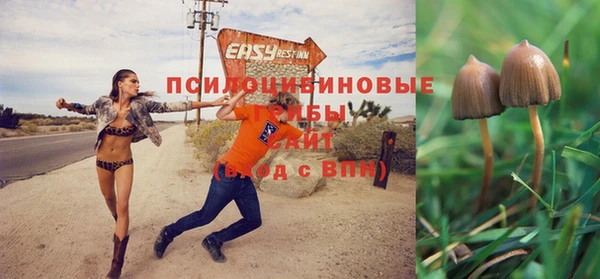 твердый Каменногорск