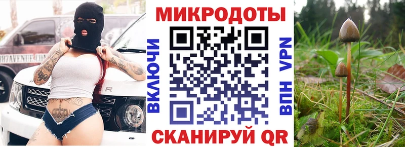 Псилоцибиновые грибы мухоморы Луза